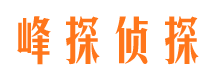 平罗市调查公司